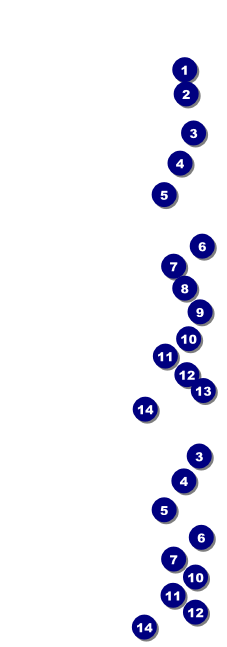 Classic Black Pinstripe Event Ticket Front Field Markers