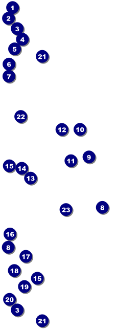 All Purpose Brown Big Logo Event Ticket Front Field Markers