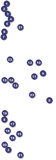 All Purpose Purple Big Logo Event Ticket Front Field Markers