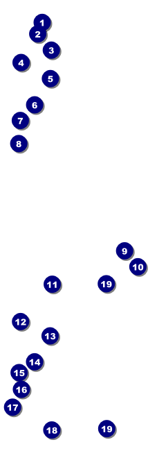 Red Carpet Event Ticket Front Field Markers
