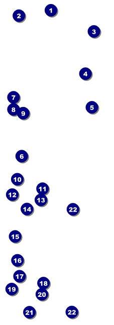 All Purpose Modern Event Ticket Front Field Markers