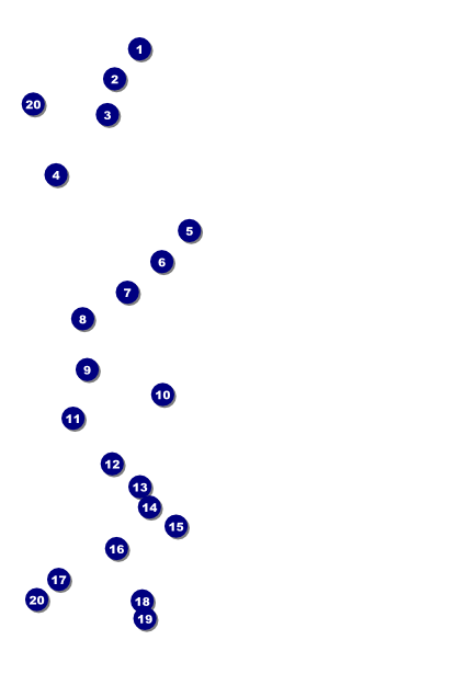 Year Poster (Gold) Front Field Markers