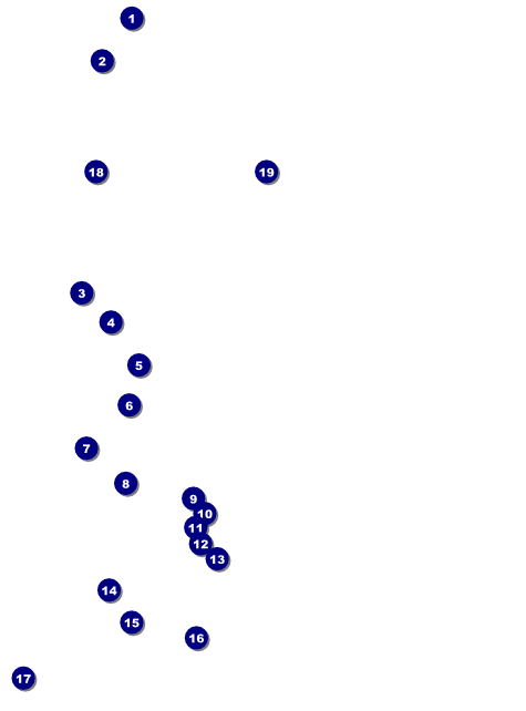 Sports Flyer 002 in Blue and Yellow Front Field Markers