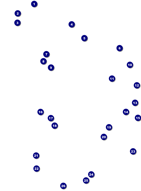 All Purpose Bright Flyer Front Field Markers
