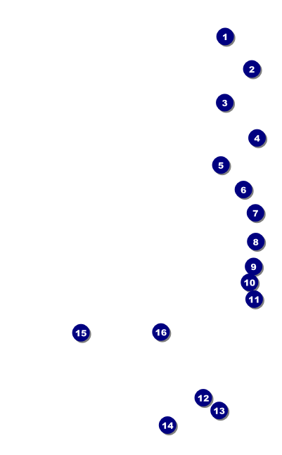 Gold Glitter Drink Ticket Front Field Markers