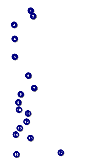 Music Festival Drink Ticket Front Field Markers