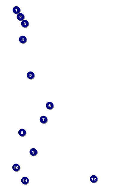 50th Anniversary Drink Ticket Front Field Markers