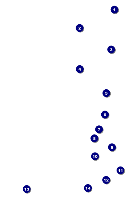 All Purpose Bright Drink Ticket Front Field Markers