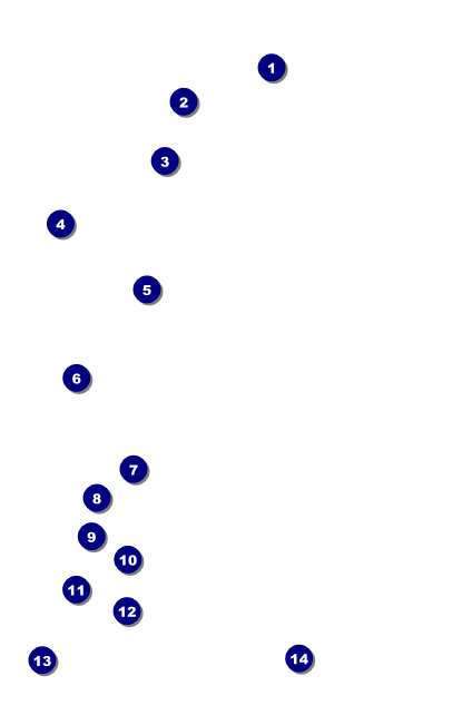 Orange Geometric Drink Ticket Front Field Markers