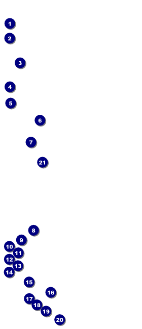 Gold Glitter VIP Pass Front Field Markers