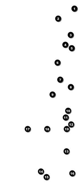 Retro Chalkboard VIP Pass Front Field Markers