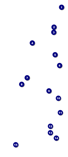Clouds VIP Pass Front Field Markers