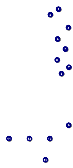 Dandelion VIP Pass Front Field Markers
