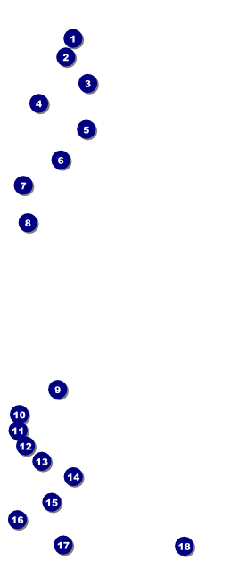 Red Carpet VIP Pass Front Field Markers