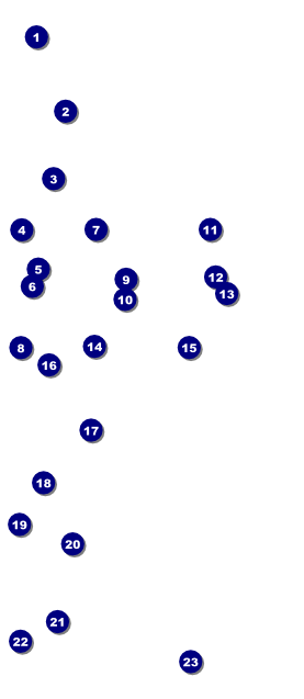 Class Reunion VIP Pass Front Field Markers