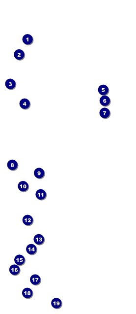 All Purpose Hex VIP Pass Front Field Markers