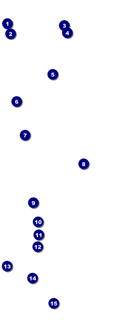 All Purpose Circle VIP Pass Front Field Markers