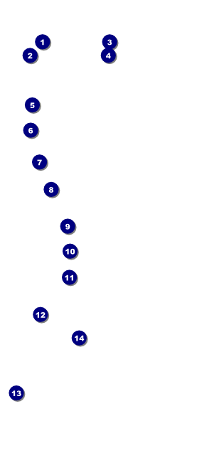 Roaring 20s VIP Pass Front Field Markers