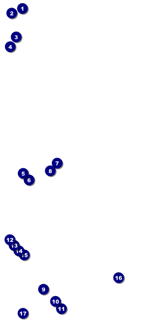 All Purpose Angle VIP Pass Front Field Markers