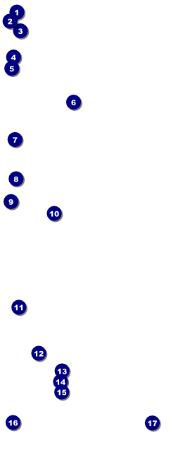 All Purpose Clouds VIP Pass Front Field Markers