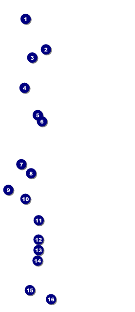 Diamonds Black VIP Pass Front Field Markers