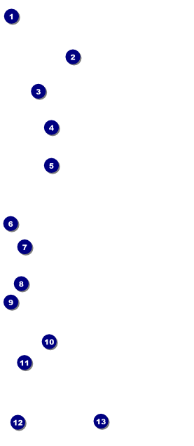 All Purpose Blue VIP Pass Front Field Markers