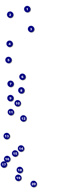 All Purpose Geometric VIP Pass Front Field Markers