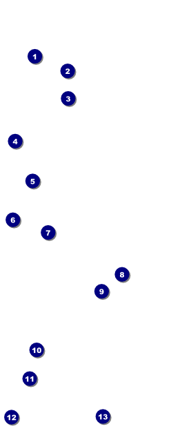 All Purpose Horizon VIP Pass Front Field Markers