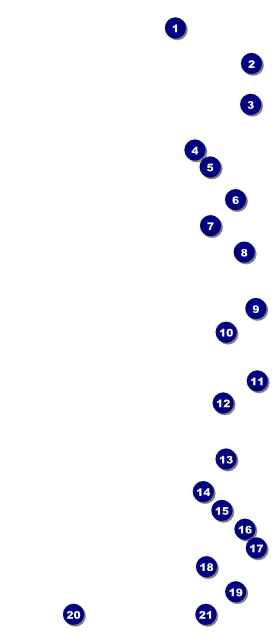 Squares VIP Pass Front Field Markers
