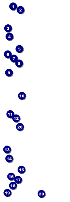 Twenties Event Ticket Front Field Markers