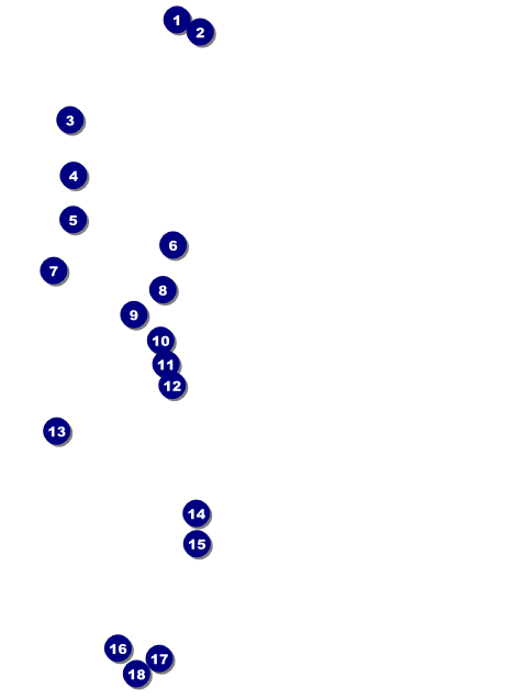 Twenties Invitation Front Field Markers