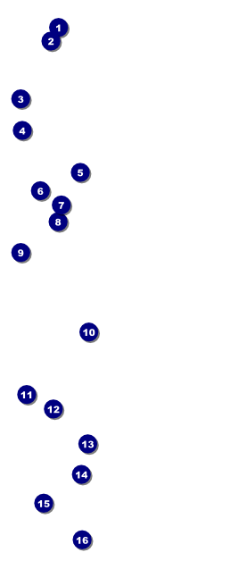 Twenties VIP Pass Front Field Markers