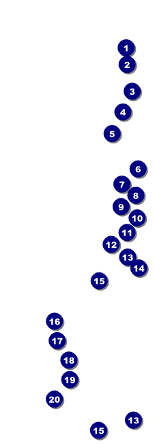 Classic Black Pinstripe Raffle Ticket Front Field Markers