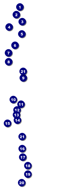 Red Carpet Raffle Ticket Front Field Markers
