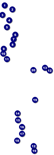 Your Image Raffle Ticket 001 Red Front Field Markers