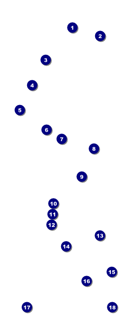 All Purpose Corners Black and White VIP Pass Front Field Markers