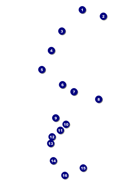 All Purpose Corners Black and White Postcard Front Field Markers