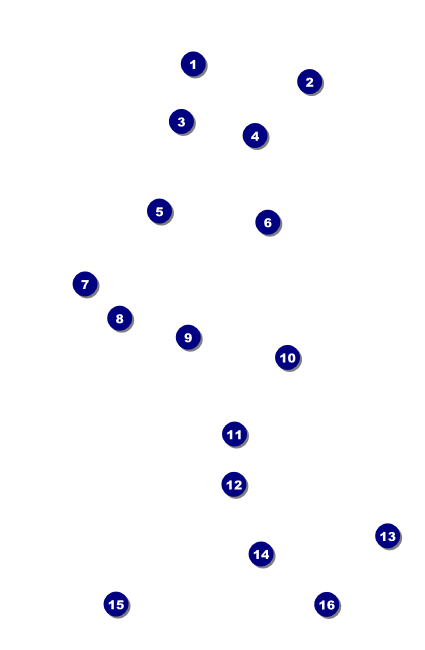 All Purpose Circles Black and White Drink Ticket Front Field Markers