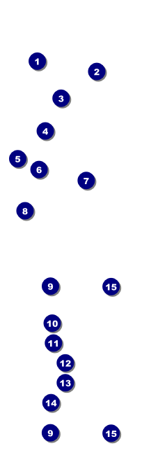 All Purpose Circles Black and White Raffle Ticket Front Field Markers