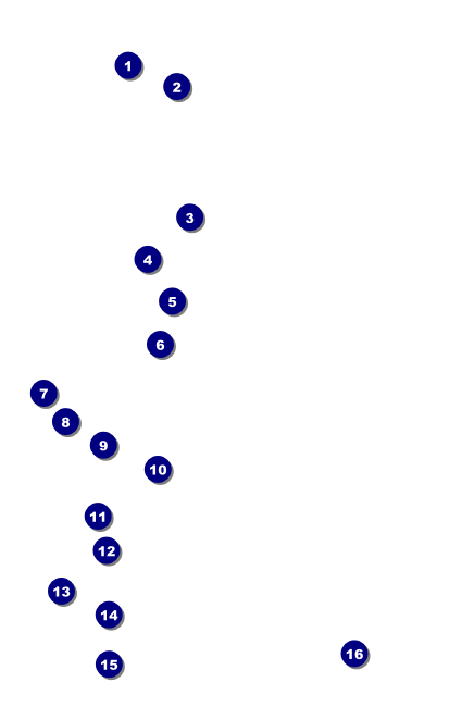 All Purpose Skyline Black and White  Drink Ticket Front Field Markers
