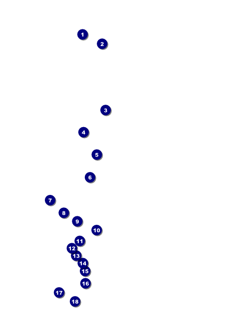 All Purpose Skyline Black and White  Flyer Front Field Markers