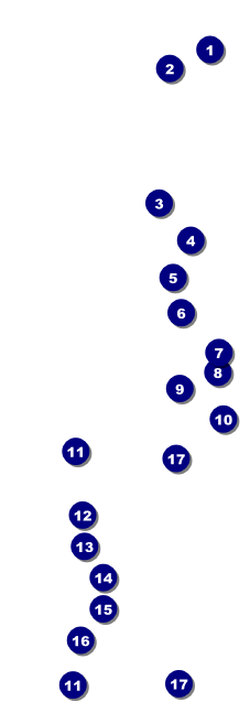 All Purpose Skyline Black and White  Raffle Ticket Front Field Markers