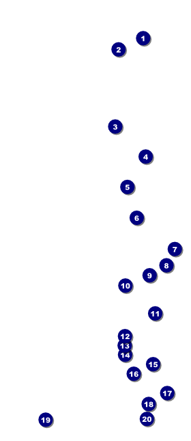 All Purpose Skyline Black and White  VIP Pass Front Field Markers