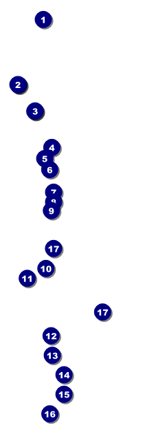 Retro Raffle Ticket Front Field Markers