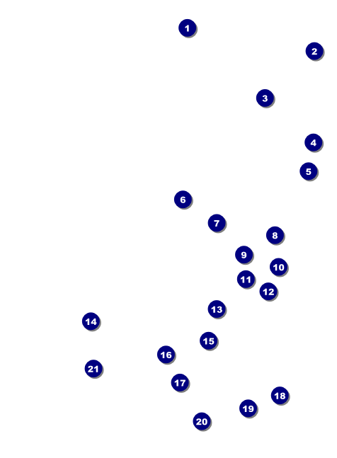 Gold Glitter Invitation Front Field Markers