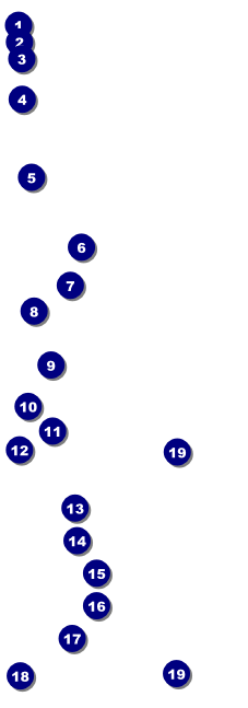 50th Anniversary Raffle Ticket Front Field Markers